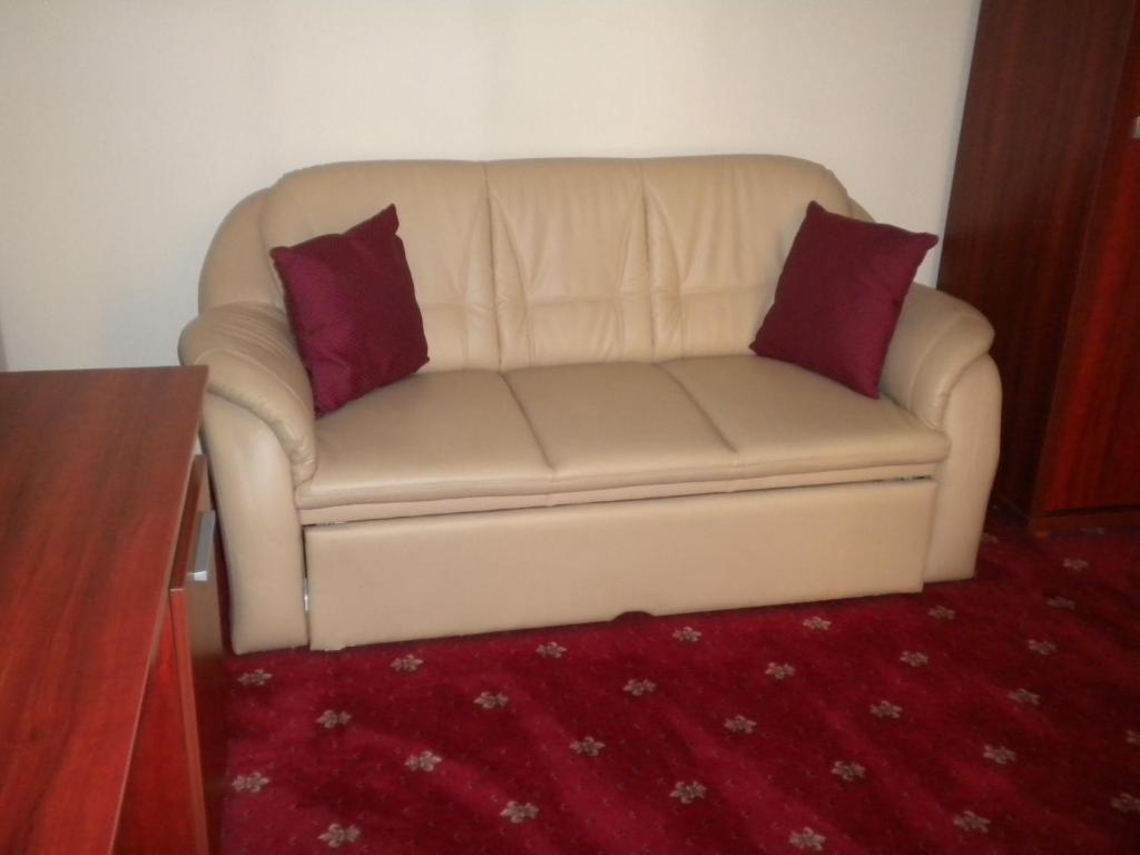 Hotel Ary Cluj-Napoca Bilik gambar